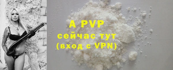 первитин Инсар
