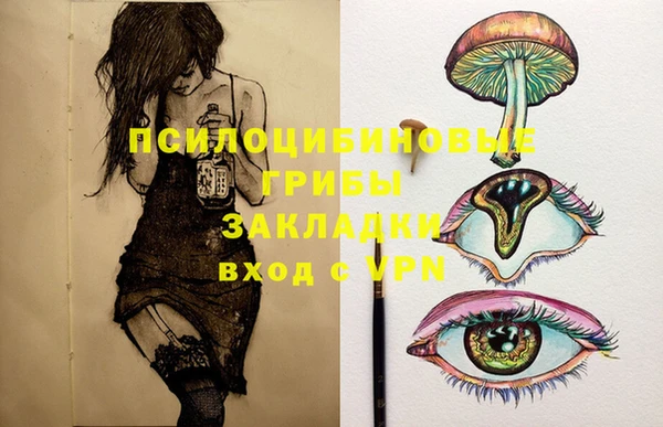 первитин Инсар