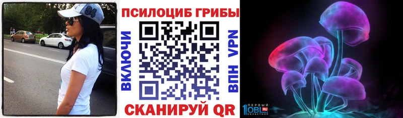 Псилоцибиновые грибы Cubensis  Купить  Кириллов 